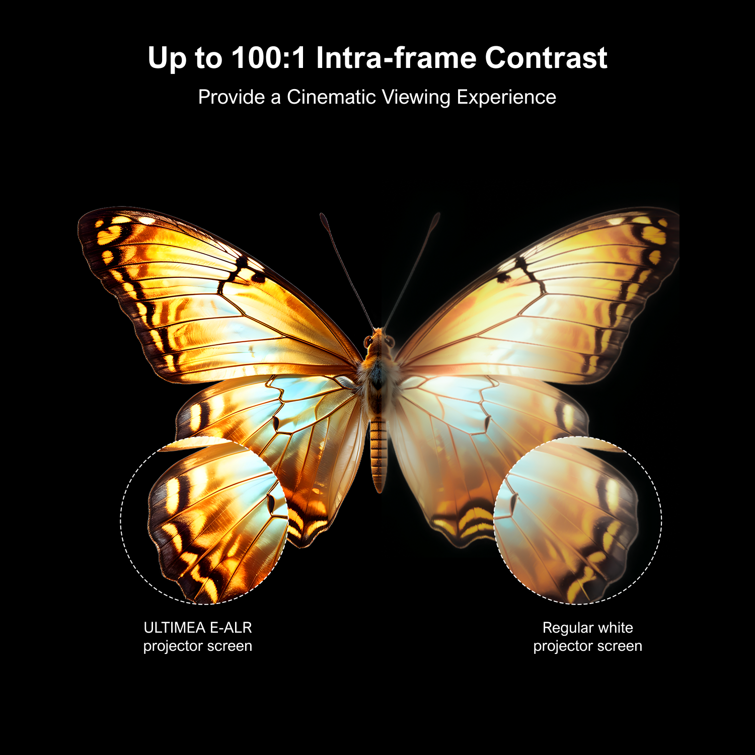 Экран для проектора ULTIMEA E- – обзор и цена Home Cinema Projector Screen
